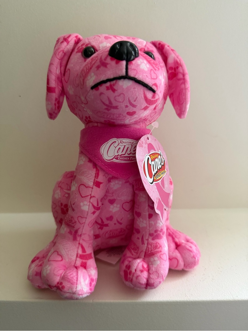 Raising Canes Breast Cancer Awareness Pink Plush Puppy Dog Limited Edition NWT